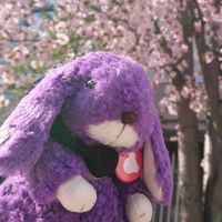 ファントムくん