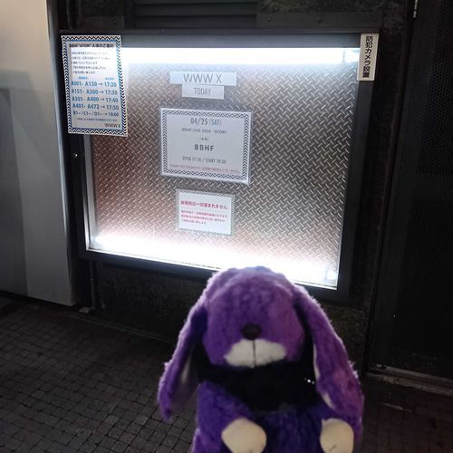 BBHFのライブにいったよ
あつくてもりあがれてたのしかった！またみたいな