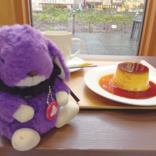 カフェオレとプリンだよ
プリンおもったよりおおきかった