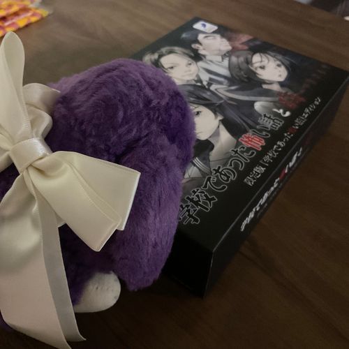 たのしみにしてたゲームがとどいたよ