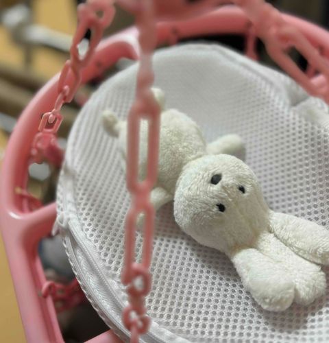テンピボシ？ニボシ？