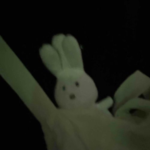 おかいもの♬
おかしはまかせてっ！