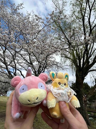 やぁん