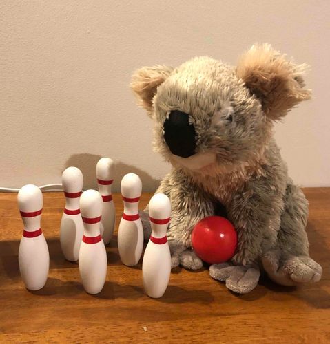 今日はお家でボーリング🎳をしたよ〜。ボールが赤くてまん丸だからリンゴ🍎と間違えて食べちゃいそうになった〜