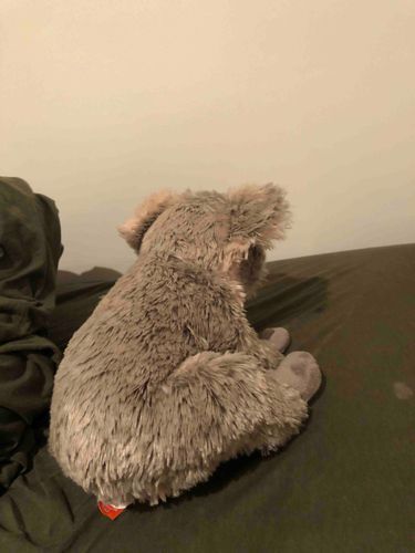 すねちゃう…そんな日もあるよね🐨今日は早めに寝て明日はいっぱい遊ぶぞ！