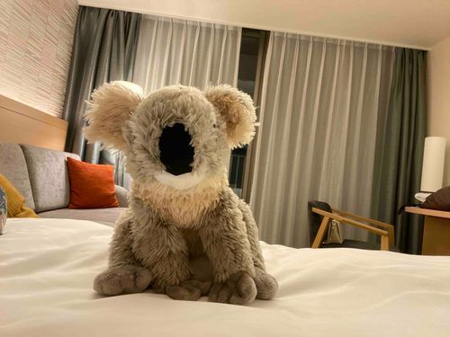 ベットの上が一番好き！
ふかふかのお布団でお昼寝は最高だよね🐨💫