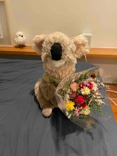 軽井沢のお土産で
素敵なドライフラワーの花束をもらった💐🐨

とってもいい香りがするよっ💐