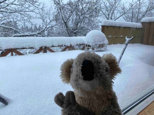 ゆきだ〜☃️
かまくらつくりたいな〜