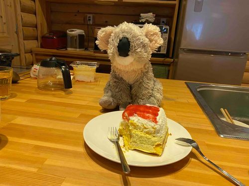 ちょっと早いクリスマスケーキを食べたよ🎄🍰