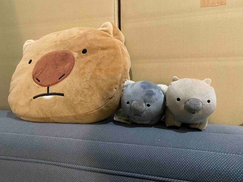 仲間が増えた〜