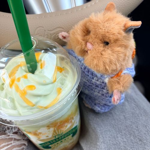 みかんのリュックがおきにいり˖ ࣪⊹
おねえちゃんはすたば！