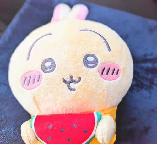 くじのうさぎ！🍉
しっぽがふわっふわでかわいいです🐰