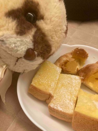 うん十年前の、わたしの毛の色にそっくり。いまのほうが好きだけど♡