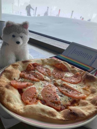 新しいお友達ハスちゃん♡
スキー場につれられ、ピザがまん中