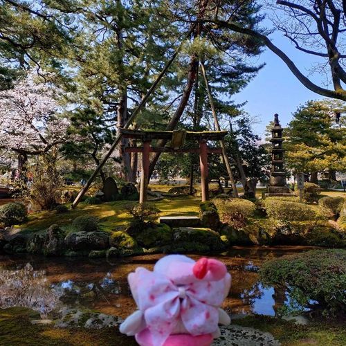 しもべが眷属を花見に連れて行ったよ