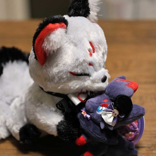 新しい眷属だよ

（ポケモンたちにうつつを抜かしていたので、ゾロアちゃんが生贄…じゃなくて眷属になってくれました）