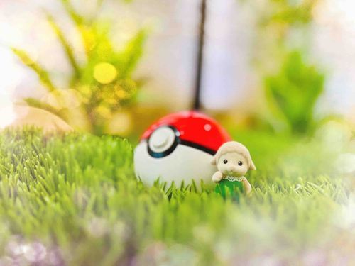 ポケモンげっとでち！！