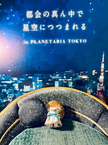 綺麗な星空みてきたの✨