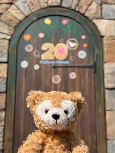 お久しぶりです！
新しい子をお迎えしました✨

ダフちゃん🧸です！