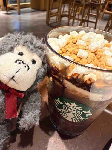 お久しぶりです！
またまた新しい子をお迎えしました🦍💕

私が応援してるバスケチームの
好きな選手にすごく似てるなと思って
一目惚れでお迎えしました！

これからもずっと一緒に
お出かけしようね！