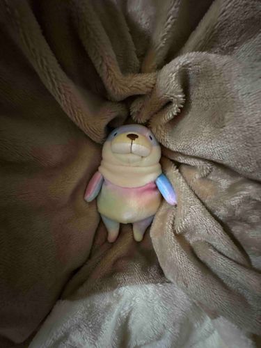 もふもふおふとんだ〜いすき