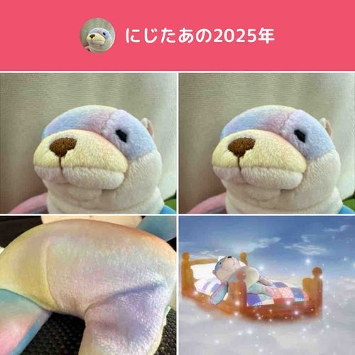 2025年たのしかった〜
2026年はもっととうこうできるようにがんばるね〜