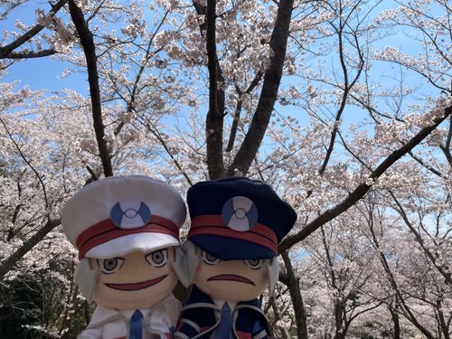 双子ちゃんとおはなみ

「いっぱい咲いてるよ とっても キレイだね ノボリ」
「はい！ブラボーな 景色です！また来年も 見に来ましょう！」