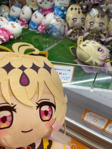 シャドウちゃん、おむかえ