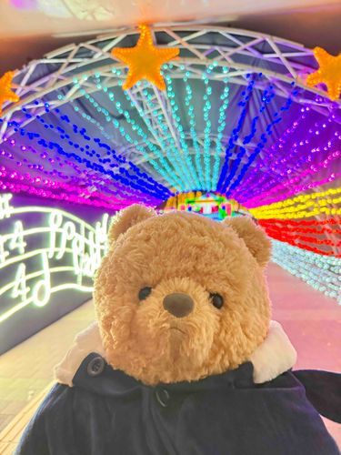 はじめまして
ぷうちゃんです🧸
6さいになったばかりの
おす🚹

これからよろしくね〜🐾