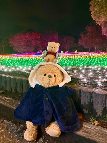 イルミネーション🎄✨️
カラフルできれいだったなあ〜🎶
寒さたいさくバッチリ👍