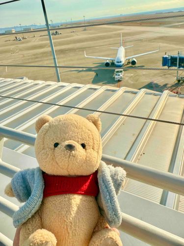 今日は ひこうきを みてきたよ✈️
みただけで のらなかったよ
いつか のりたいなあ。