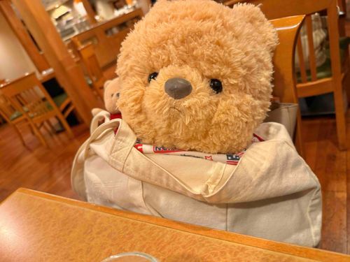 ぷうちゃんはおおきいから
たまにお出かけするぞ。

これは
おしのび ごはん🍚