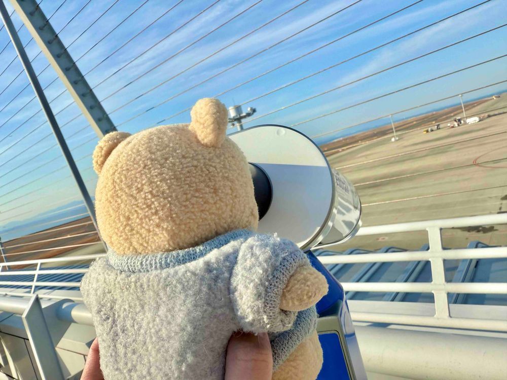 かんさつちゅう🔎✈️

