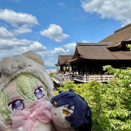 清水の舞台はいつ見てもスゴイね✨
この日は緑が深くてキレイだった🍀✨
ひよぬと一緒に来れて嬉しいね～ジュンくん❣️