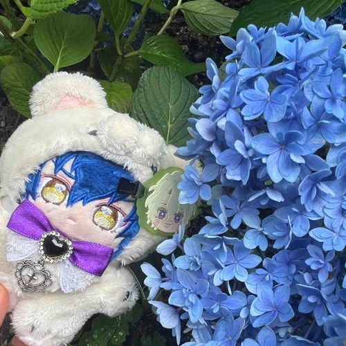 こっちはジュンぬカラーだったね💙
変わった紫陽花沢山でキレイだったね🥰
