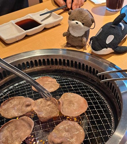にくしょく