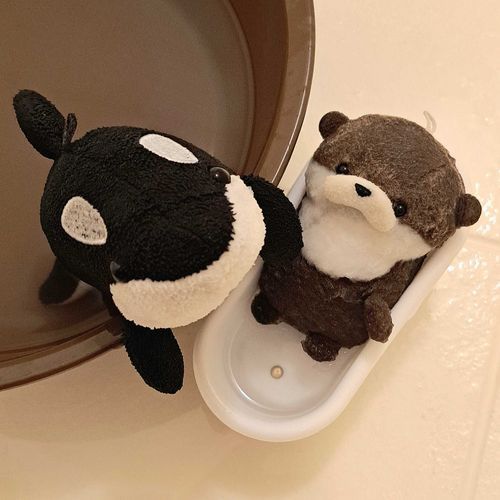 ちゃぷちゃぷ🛁