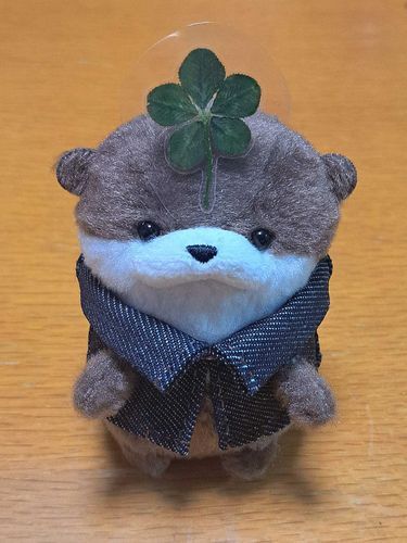 🍀いつつばのくろーばー🍀
ざいうん💴おすそわけ