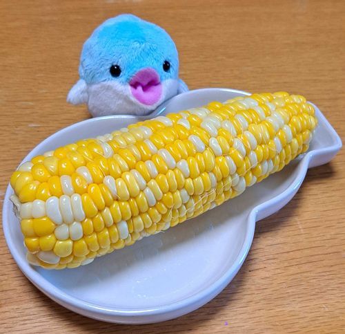かんかんむすめ🌽
むちゃあまとうもろこし！