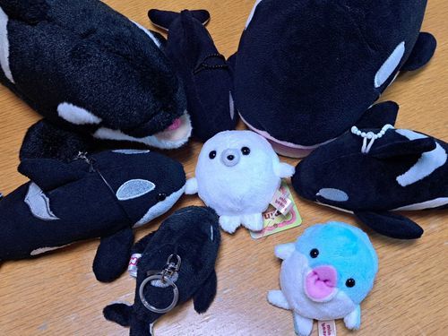 🦭しんいり だいぴんち！！