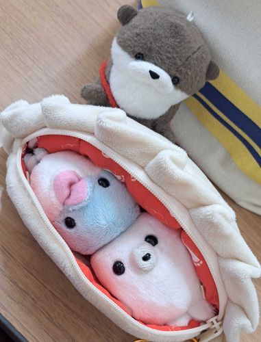 おひるごはん ちゃんと たべた？
あと すこし がんばったら おやすみ だよ！🦦🐬🦭