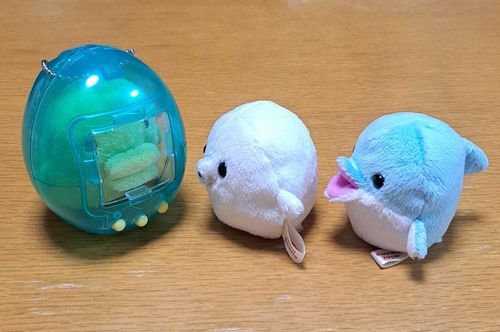 🦭でておいでよー
🐬ぼくも はいりたい！