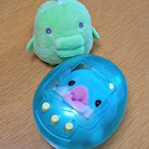 ･３･ どぞ
🐬かいてき くうかん！