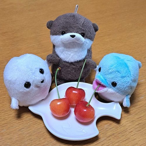 さくらんぼ🍒