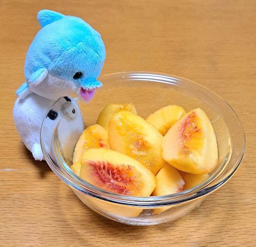 ぷらむ🍑
🐬 もうちょとで とどくっ
🦭がんばて〜！