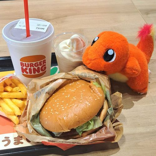 ハンバーガー美味しいね☺︎🍔🍟
#ポケモン #もぐもぐ 