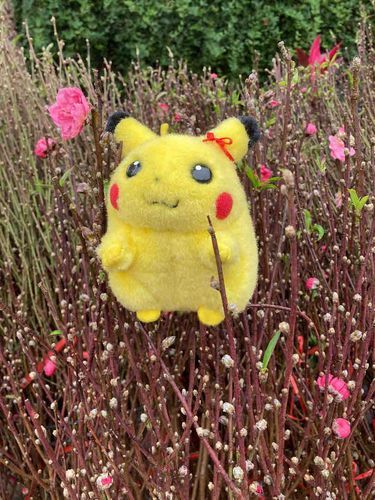Pikachu with Peach Flowers 2🌷 🍑 