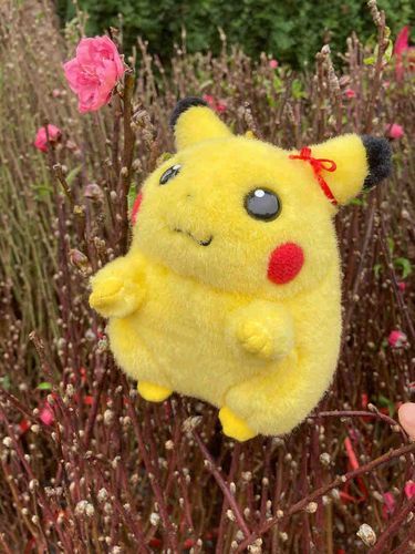 Pikachu with Peach Flowers 3🌷🍑 💕