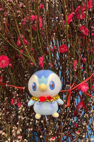 Piplup with Peach Flowers 🌷 🍑✨