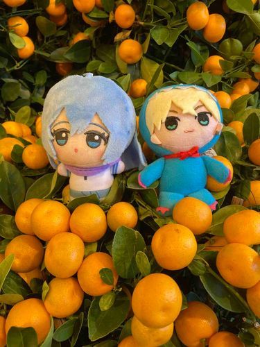 Runs & Chifuyu with Mandarin Oranges 🍊✨💕